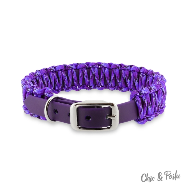 Coloré violet